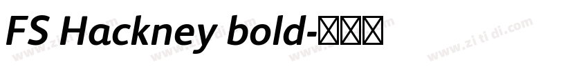 FS Hackney bold字体转换